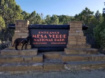 are dogs allowed at mesa verde