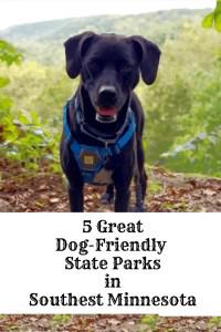 are dogs allowed in mn state parks