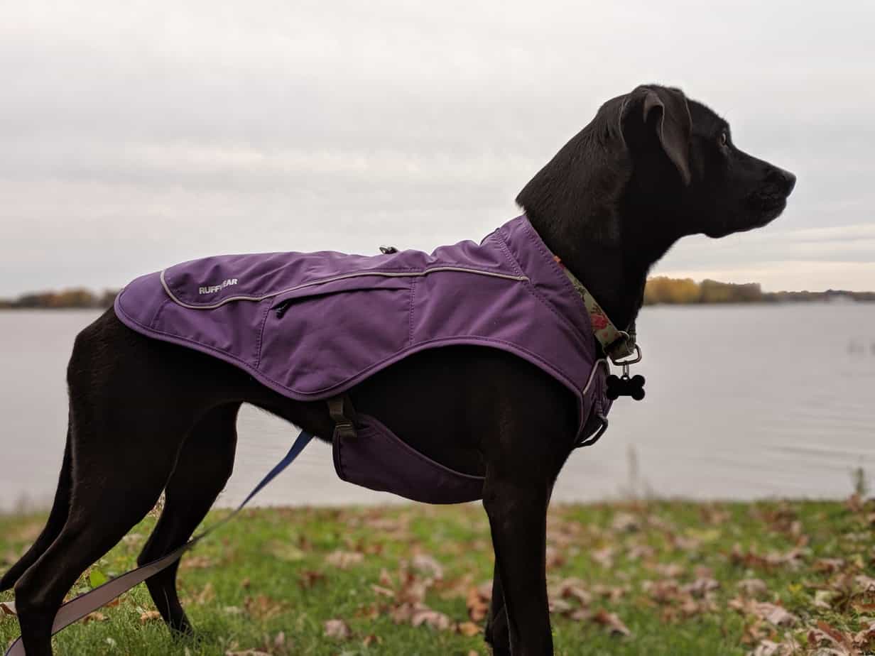 ruffwear harness jacket