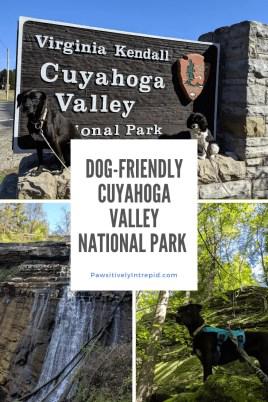are dogs allowed in cuyahoga valley