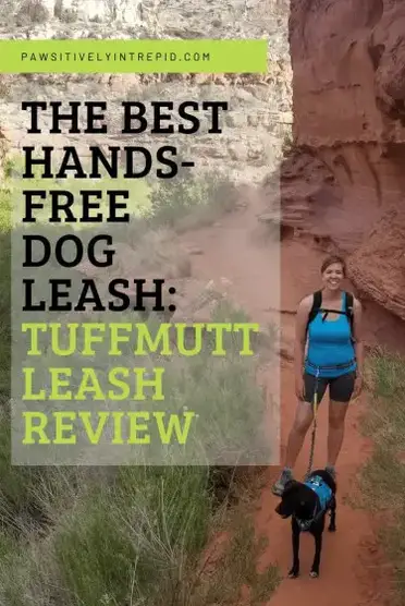 The Best Hands Free Dog Leash TuffMutt Hands Free Leash Review