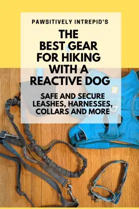 Best harness for best sale leash reactive dog