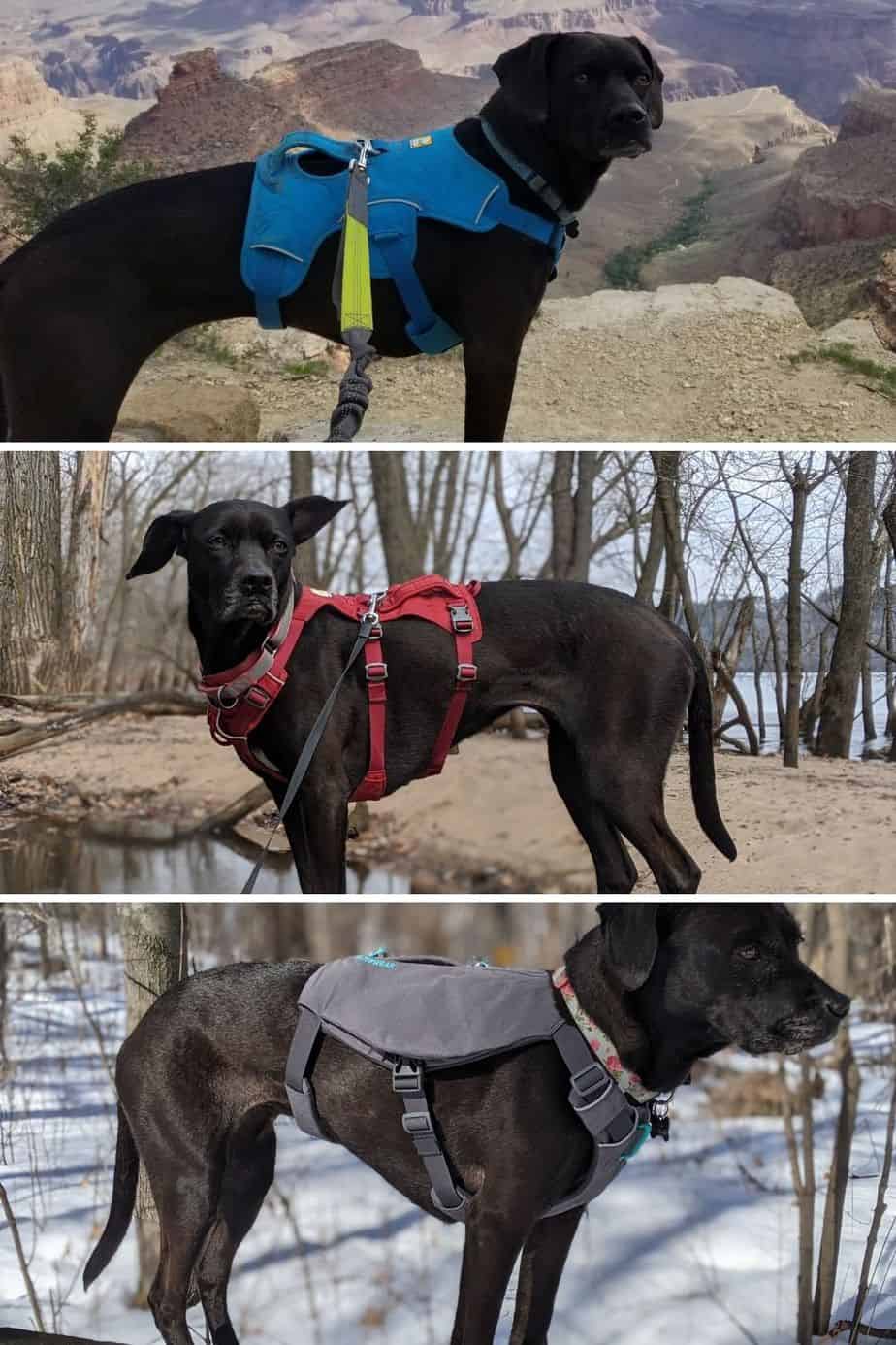 Ruffwear Full body Harnesses Fit Comparison for the Switchback