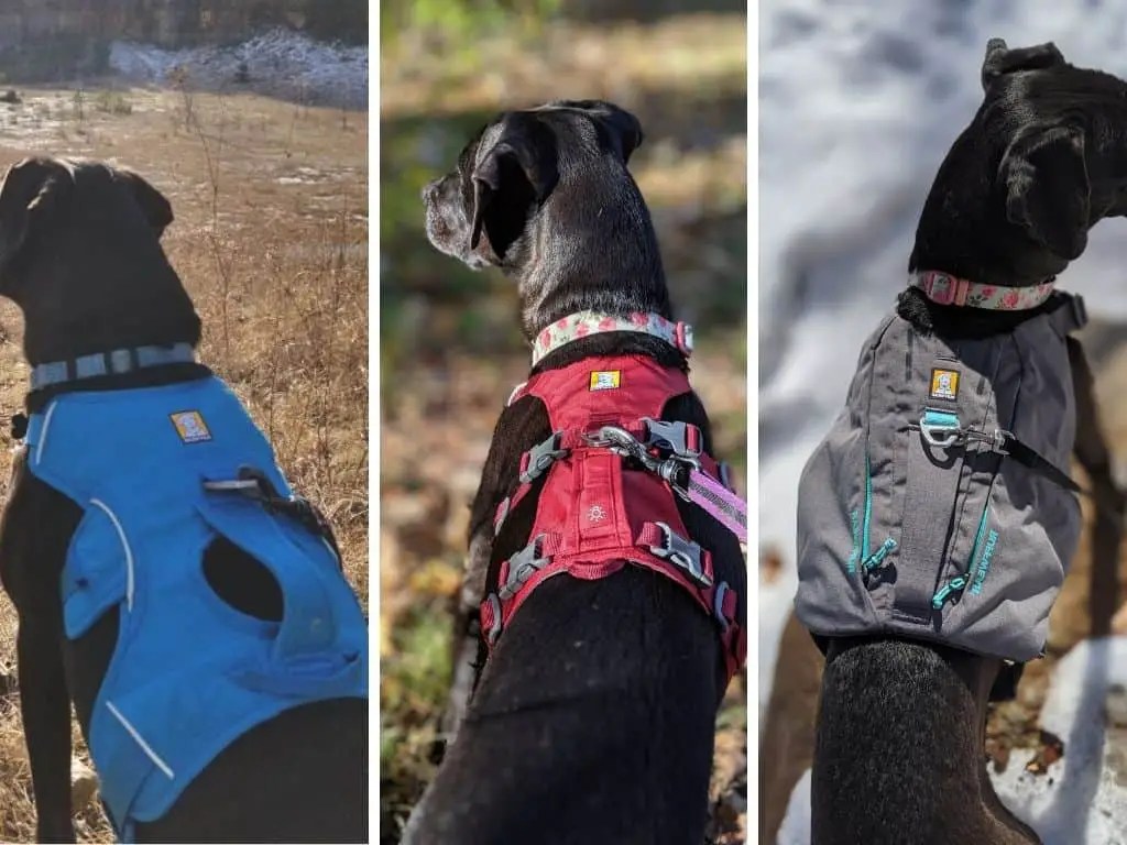 Ruffwear Full body Harnesses Fit Comparison for the Switchback