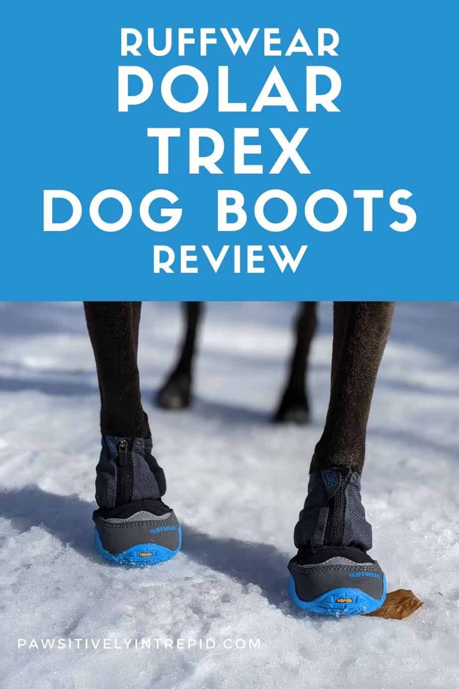 Ruffwear Polar Trex Dog Boots Review Pawsitively Intrepid