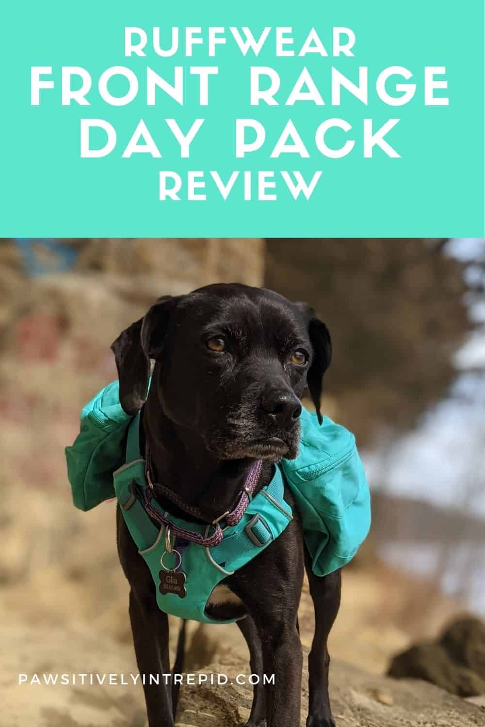 Ruffwear Front Range Day Pack Review Pawsitively Intrepid