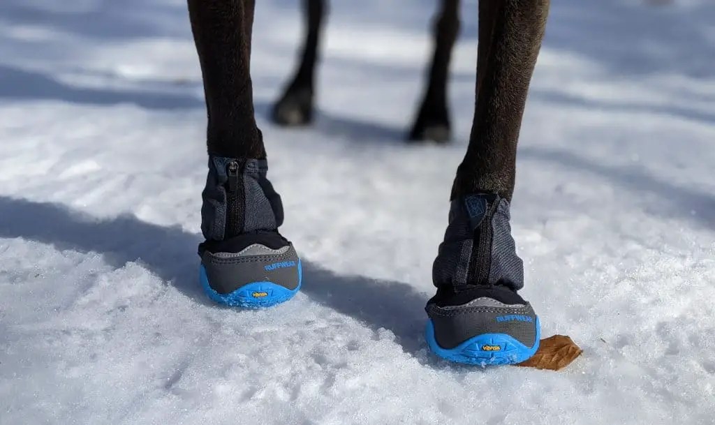 Ruffwear Polar Trex Dog Boots Review Pawsitively Intrepid