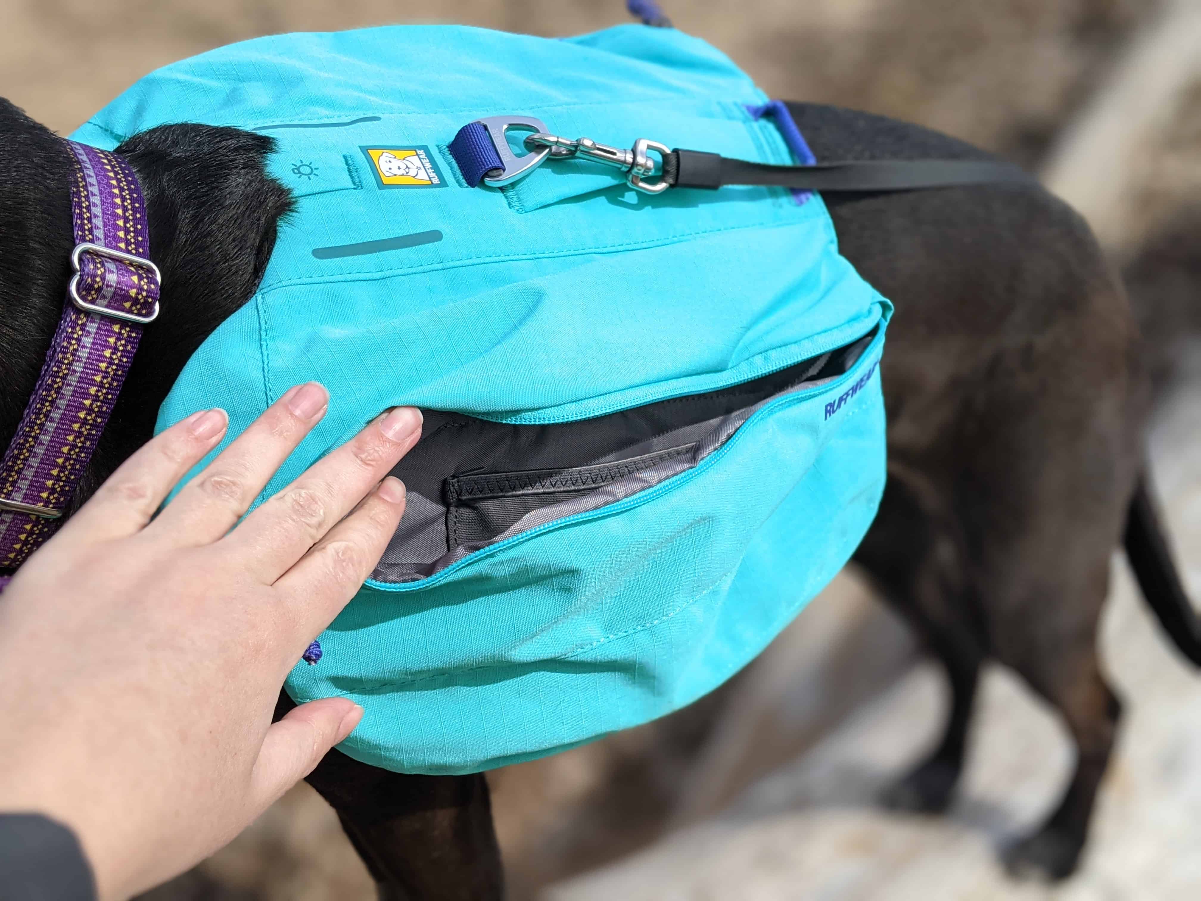 Ruffwear Front Range Day Pack Review Pawsitively Intrepid