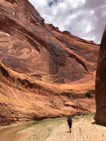 are dogs allowed in paria canyon