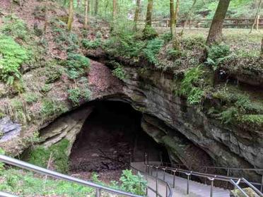 are dogs allowed in mammoth caves