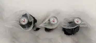 Trofung (Puppy Dog in Winter Snow-1 Front Pocket Slim Bifold