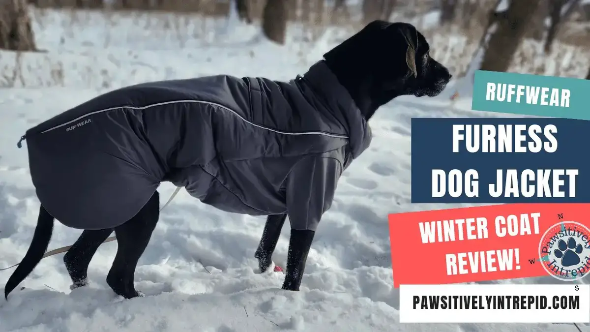 Ruffwear winter coat hotsell