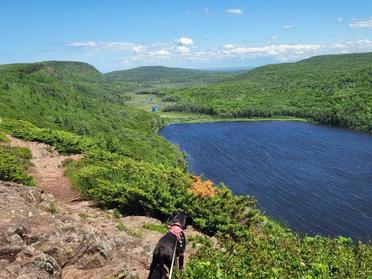 are dogs allowed in the porcupine mountains