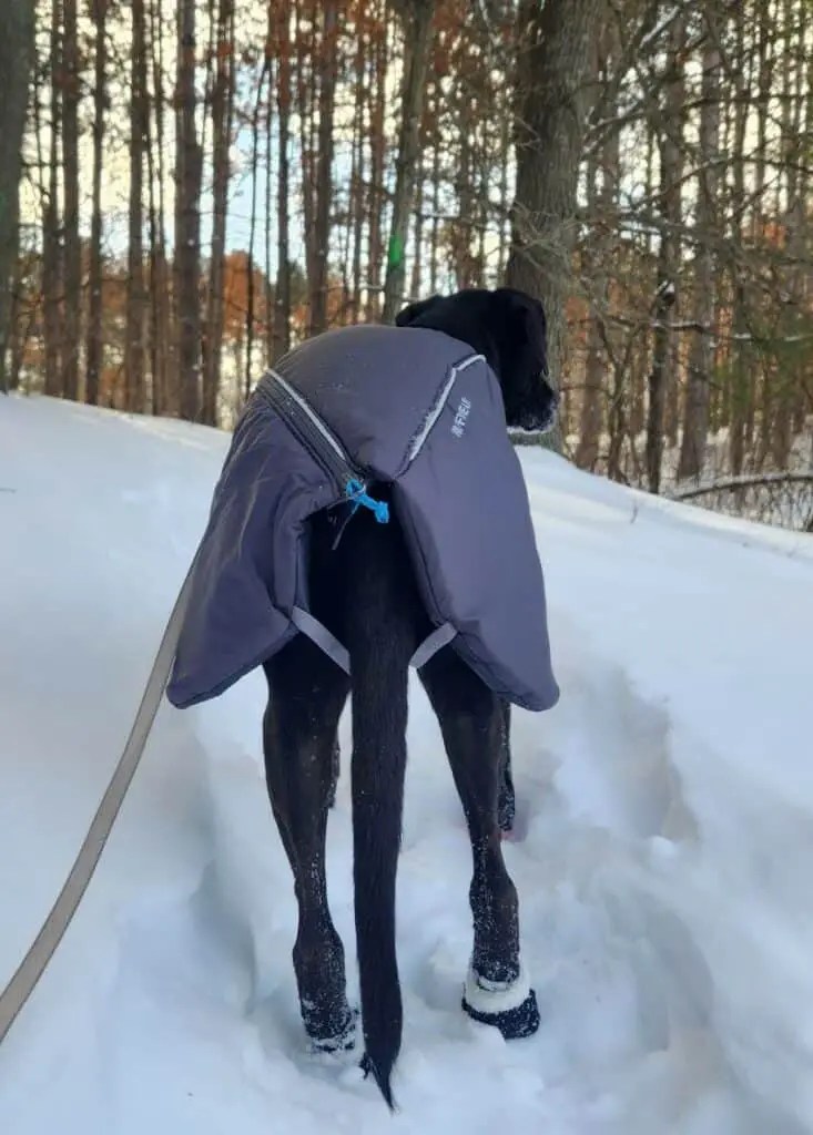 Ruffwear Furness Jacket Review Pawsitively Intrepid