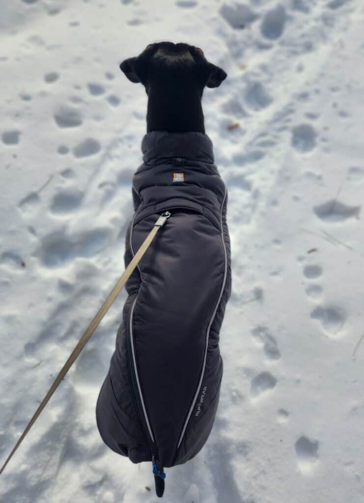 Ruffwear Furness Jacket Review Pawsitively Intrepid