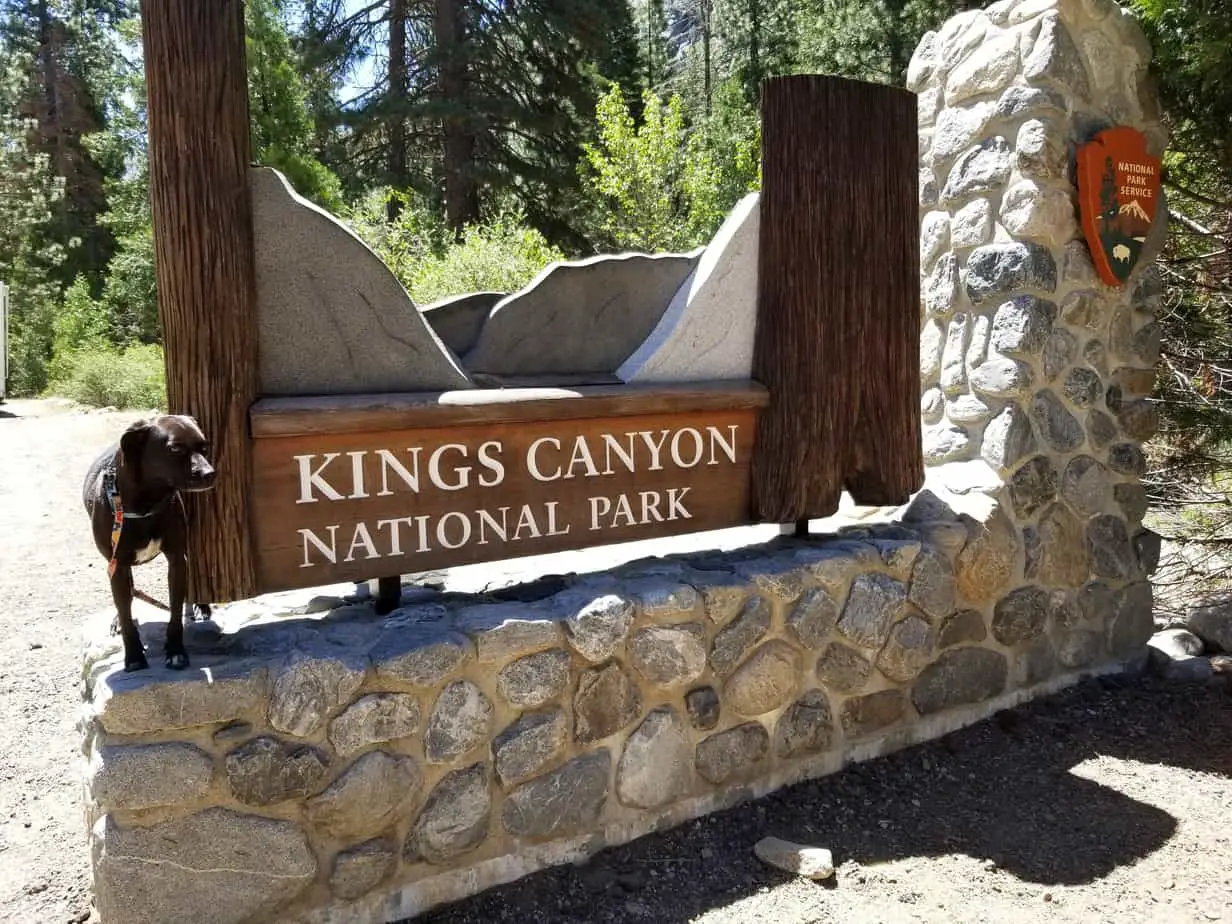 are dogs allowed in kings canyon national park