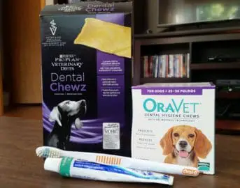 Dog dental products