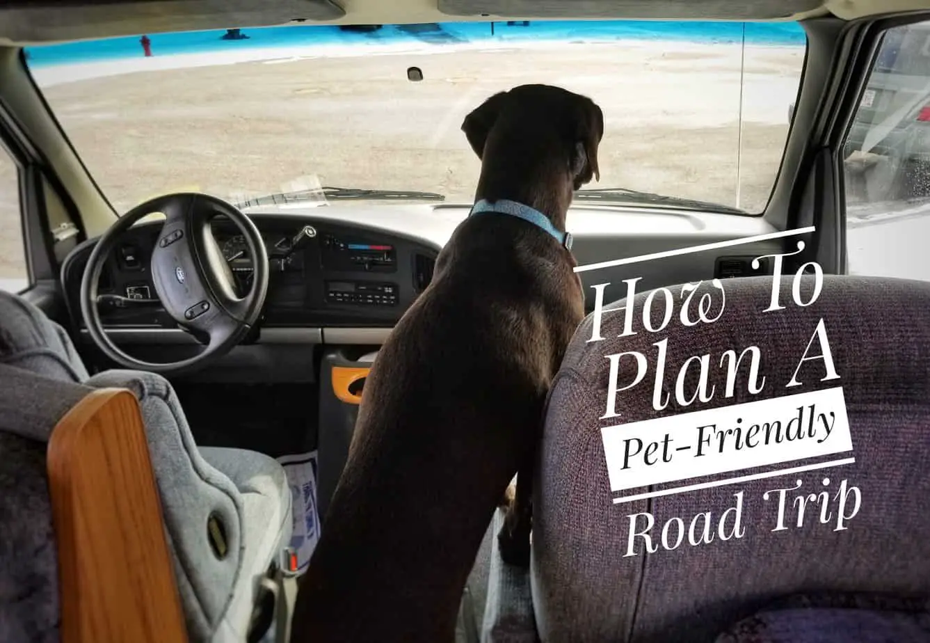 pet friendly road trip planner