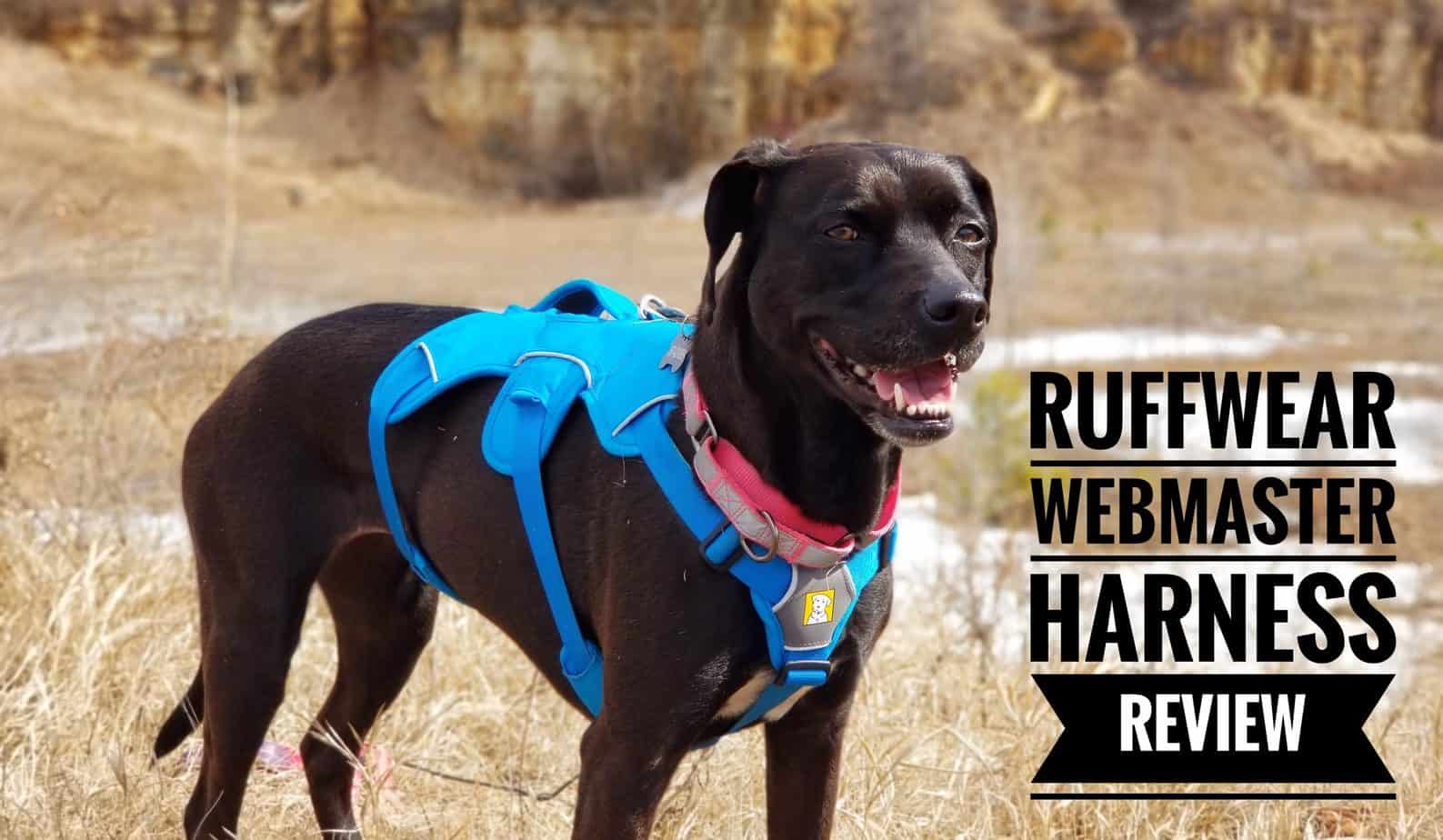 ruffwear harness sizing