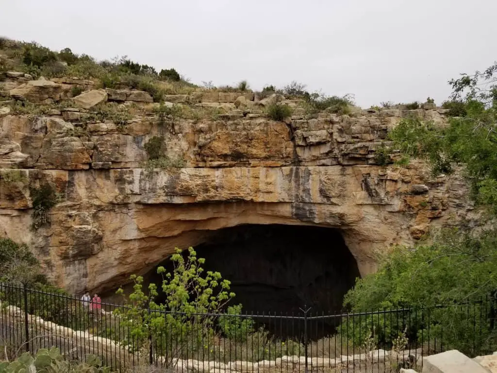 Carlsbad Caverns National Park Pawsitively Intrepid