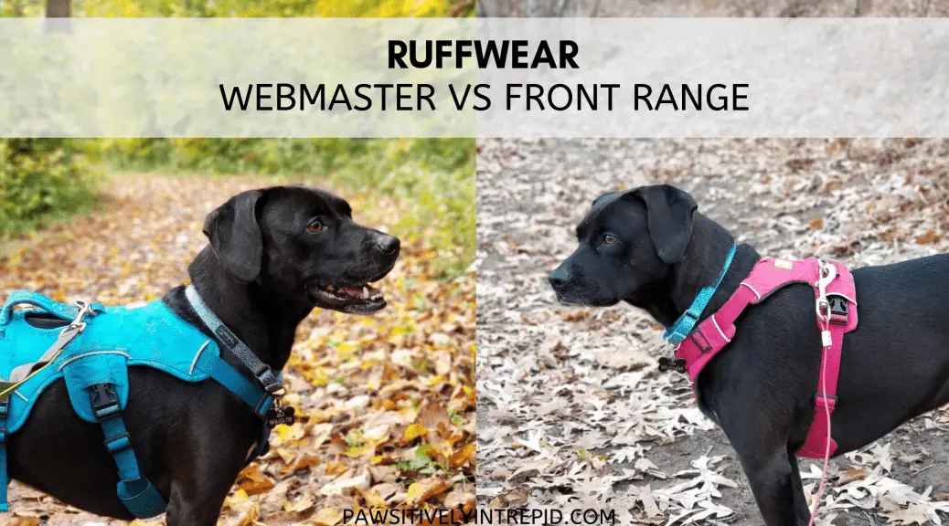 The Ruffwear Webmaster vs. Front Range 