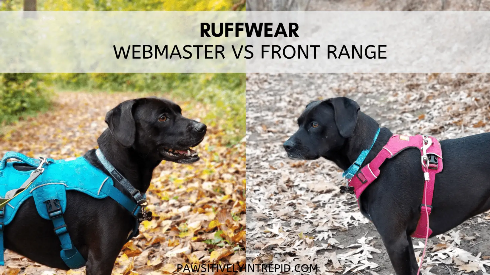 ruffwear dog harness