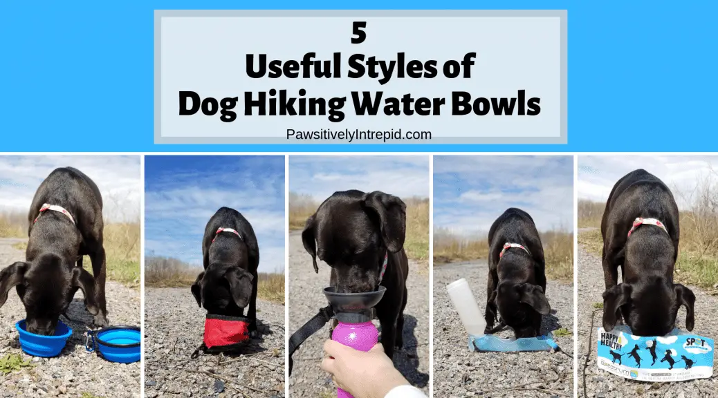 Dog Hiking Water Bowls 