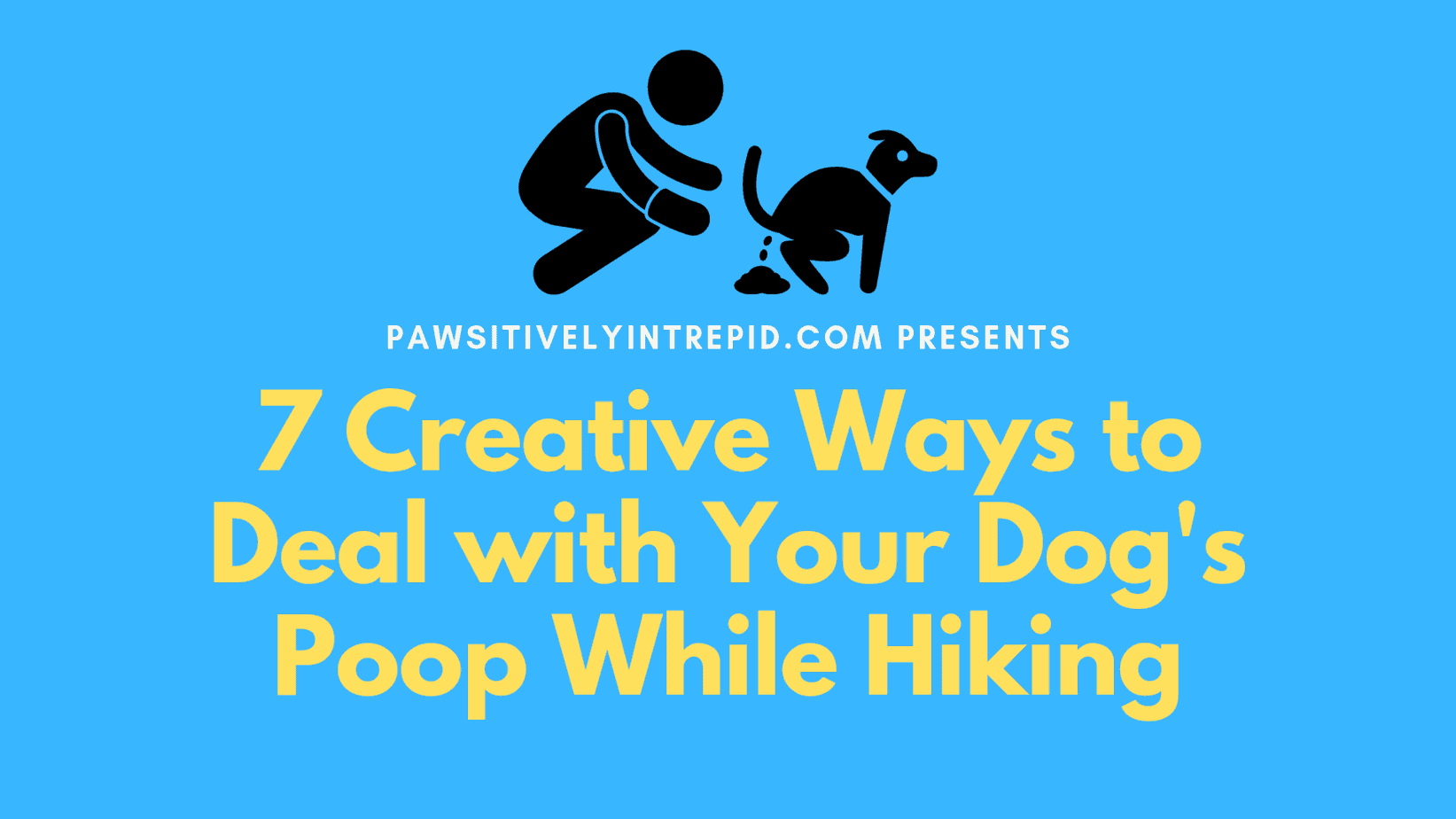 dog poop container for walks