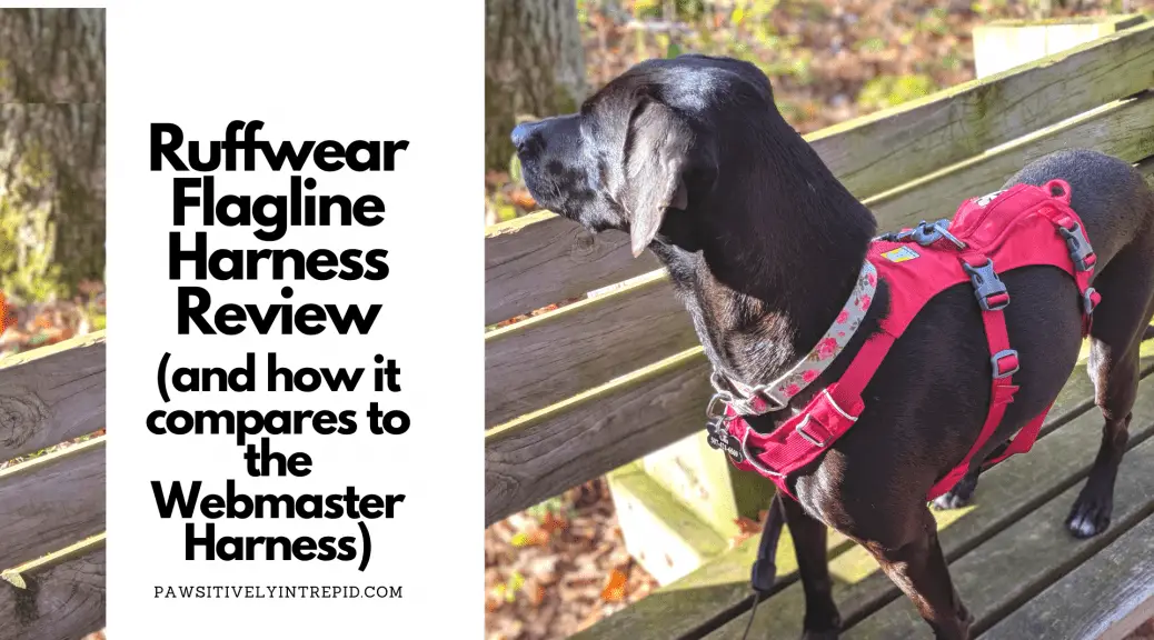 ruffwear webmaster harness pets at home