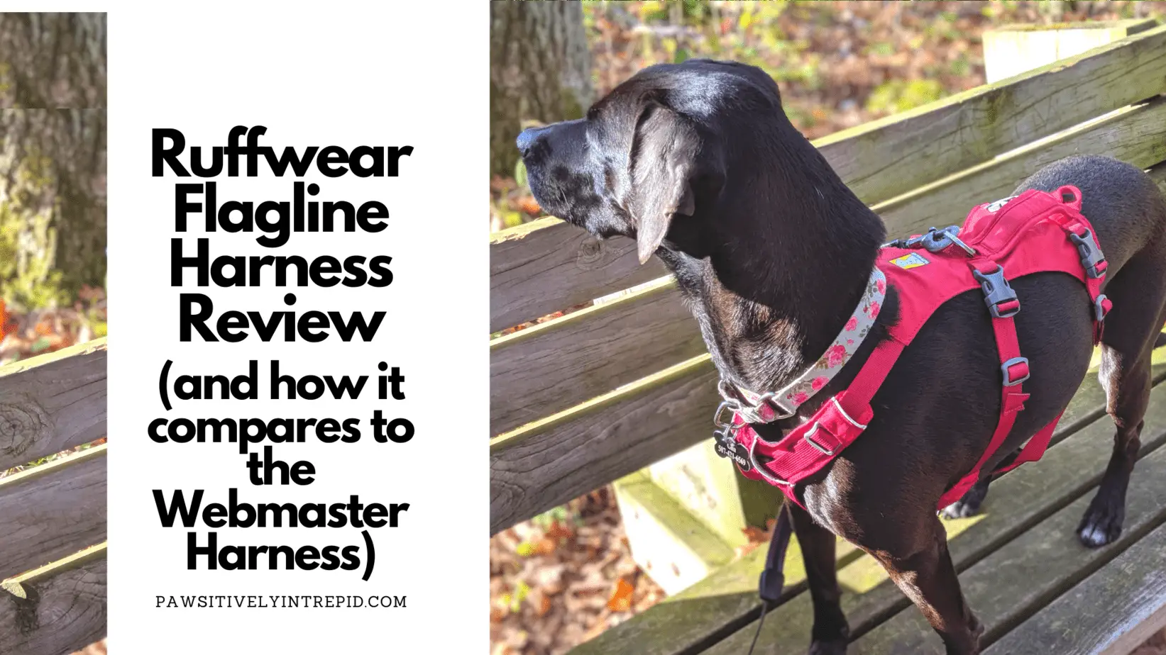 Ruffwear Flagline Harness Review (and 