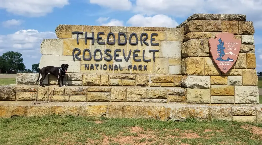 A DogFriendly Trip to Theodore Roosevelt National Park Pawsitively