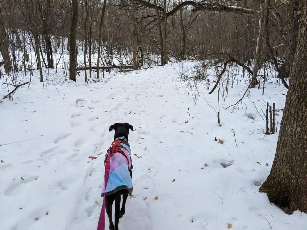 The Minnesota Hiking Club: 68 Dog-Friendly Hiking Trails ...