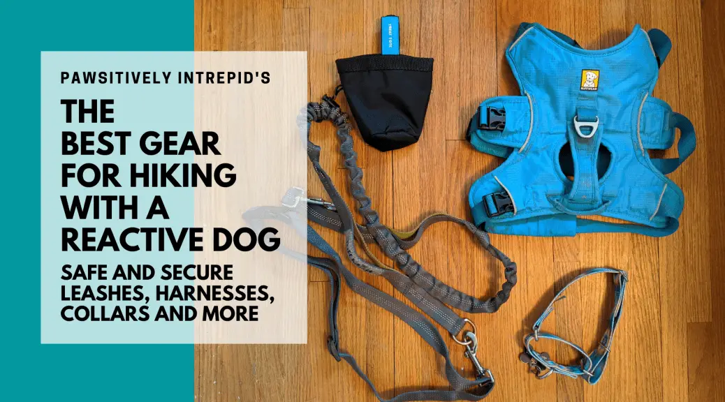 best harness for hiking dogs