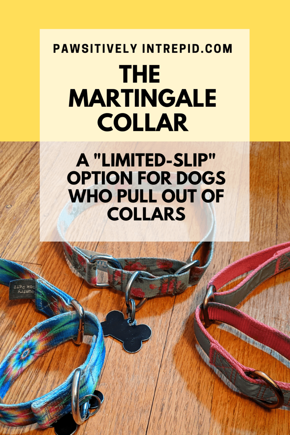 The Martingale Collar A "Limitedslip" option for dogs who pull out of