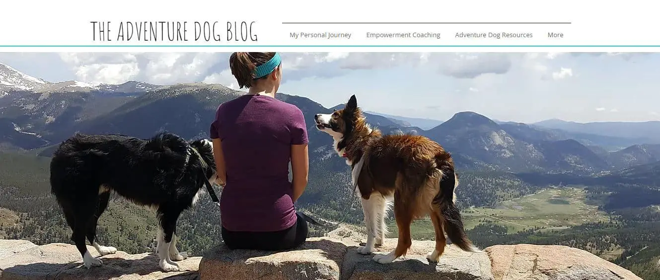 15 of the Best Dog Blogs, Podcasts, and Instagram Accounts to Inspire