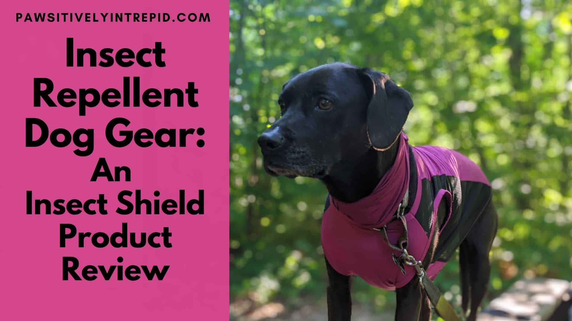 insect shield dog shirt