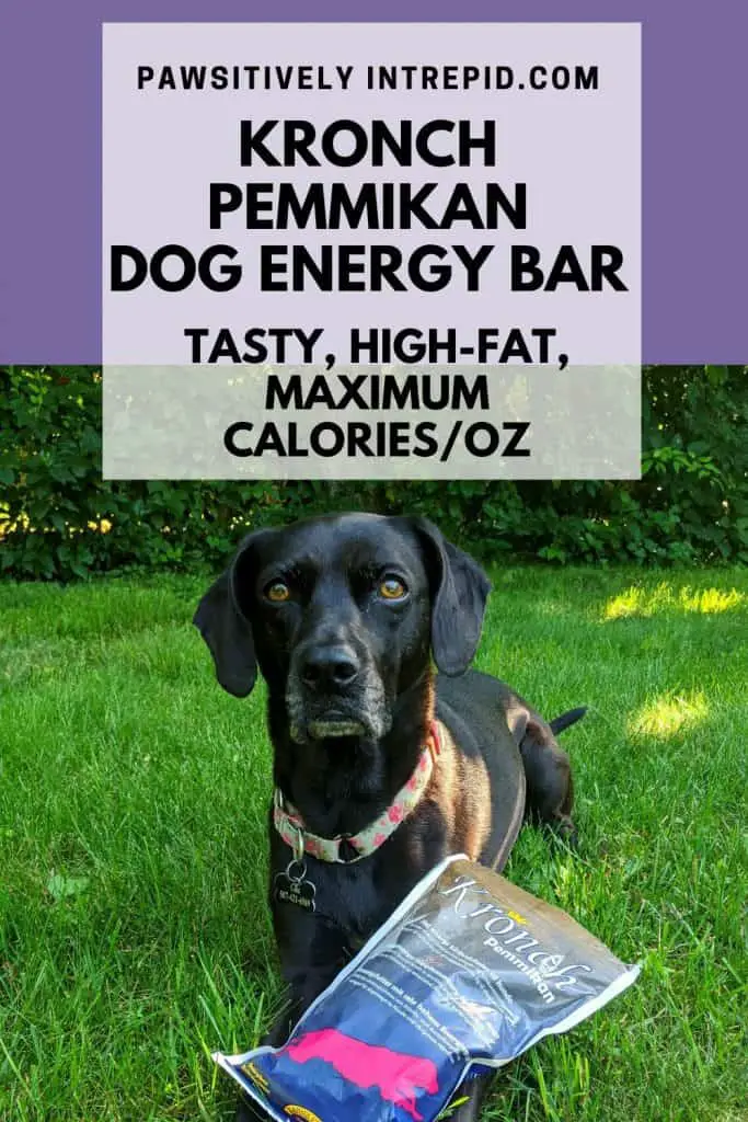 A Tasty Energy Bar for Dogs Kronch Pemmikan Dog Energy Bar Review