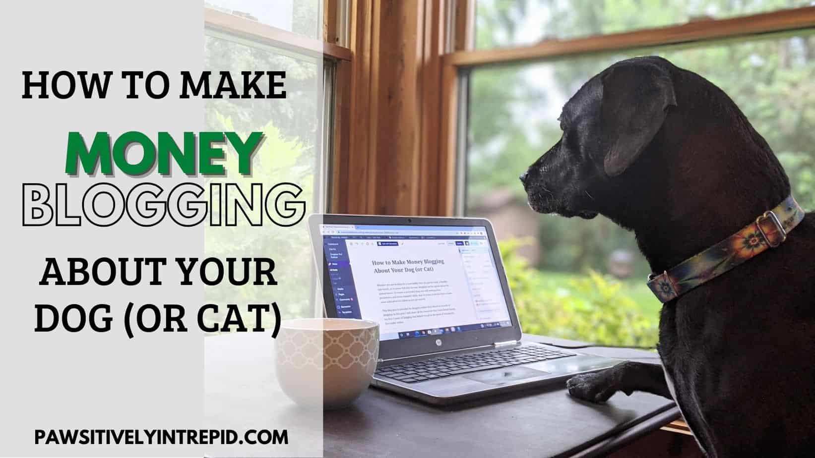 How To Make Money Blogging About Your Dog (or Cat) – Pawsitively Intrepid