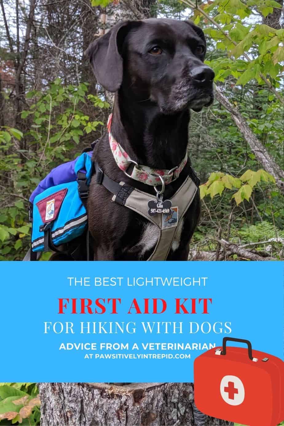 The Best Lightweight First Aid Kit for Hiking with Dogs - Pawsitively