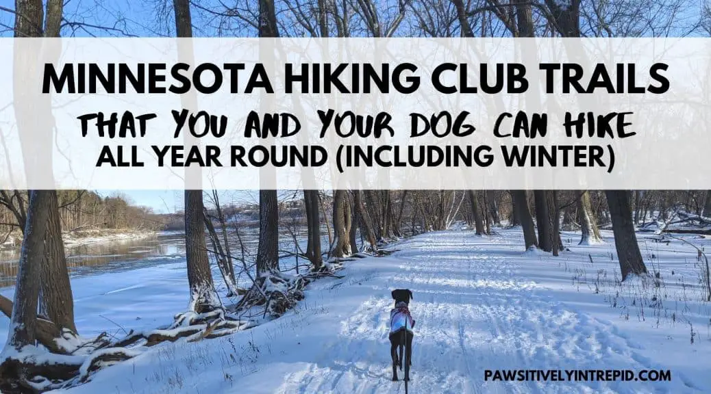 Minnesota Hiking Club Trails that you and your dog can ...
