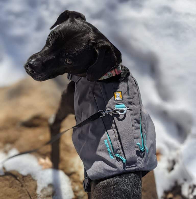 Ruffwear Switchbak Harness The Dog Harness with Pockets! Pawsitively