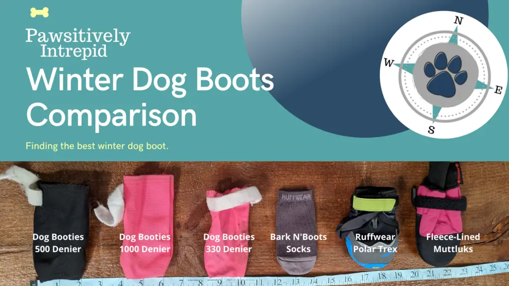 what are the best winter boots for dogs