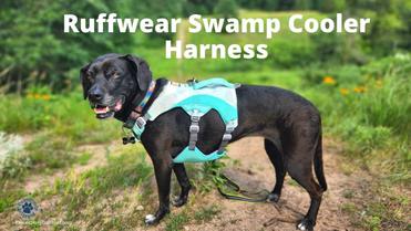 Discusses different types of dog harnesses