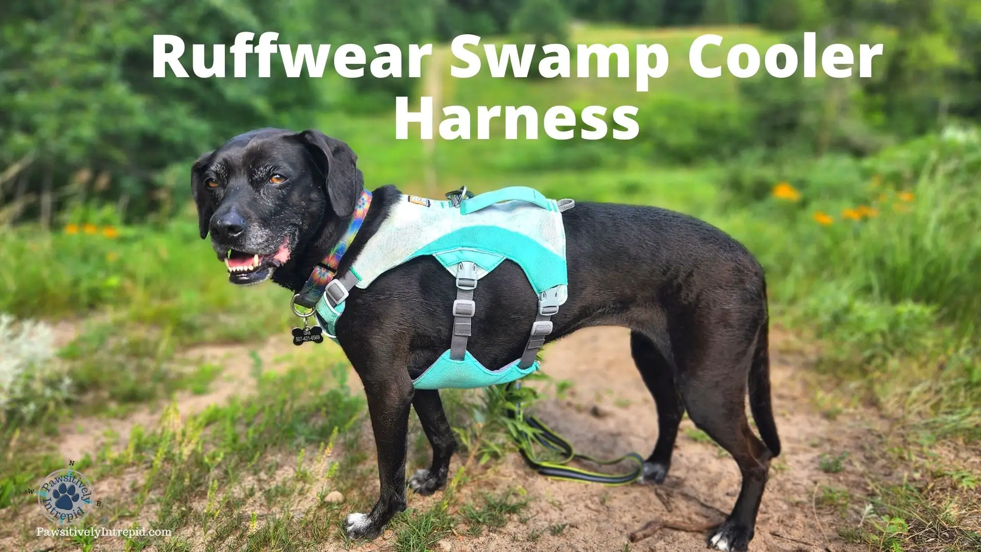 Compatible with Harnesses Swamp Cooler Evaporative Dog Cooling Vest RUFFWEAR 